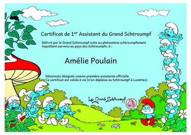 Diplôme assistant schtroumpfs