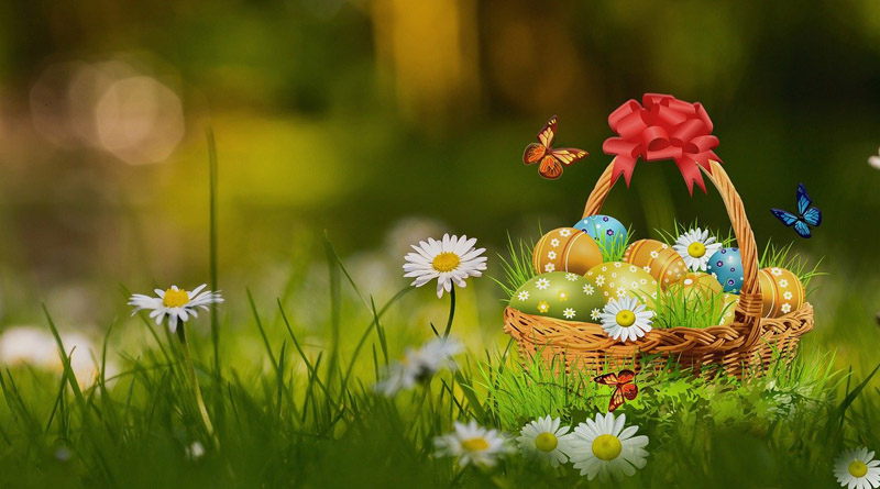 Chasse aux oeufs de Pâques : 9 idées pour vos enfants