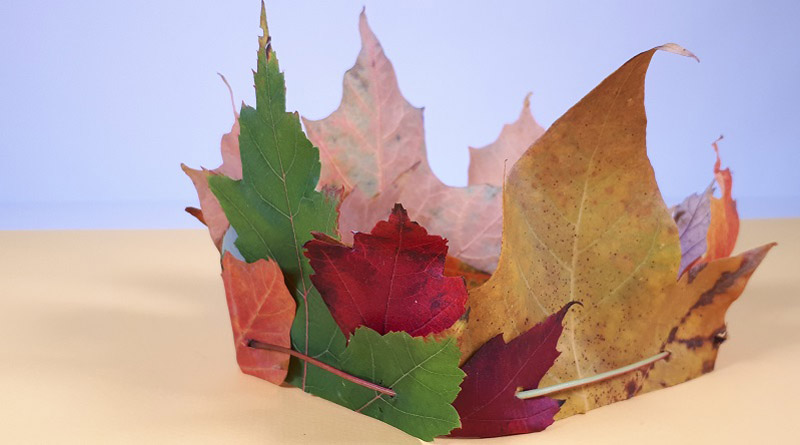 Frapp  Bricolage d'automne: des décorations inspirées de la nature